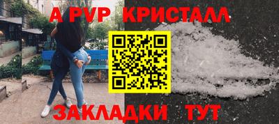 бошки Шелехов