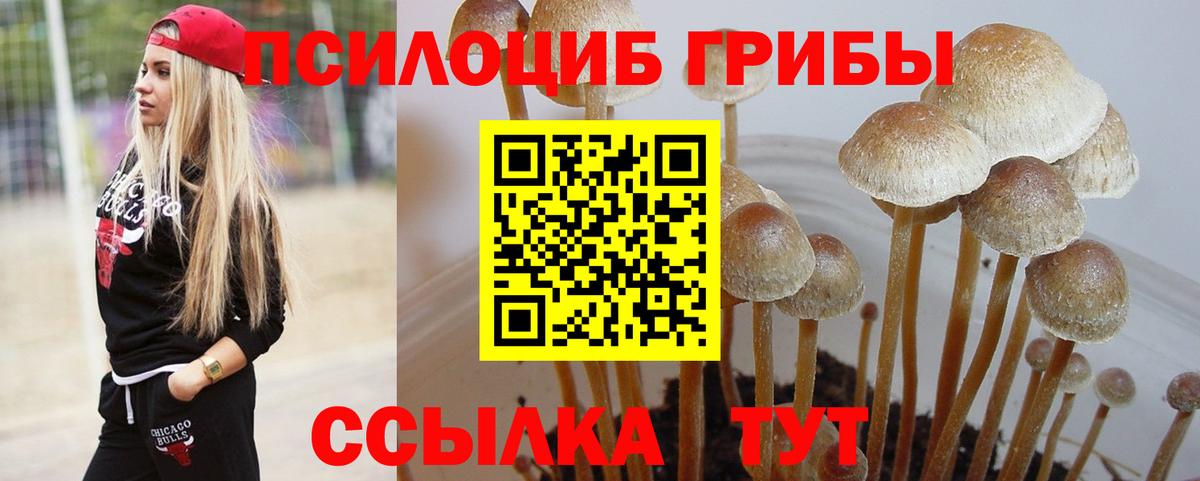 Нурлат  Галлюциногенные грибы GOLDEN TEACHER  Вход с VPN 
